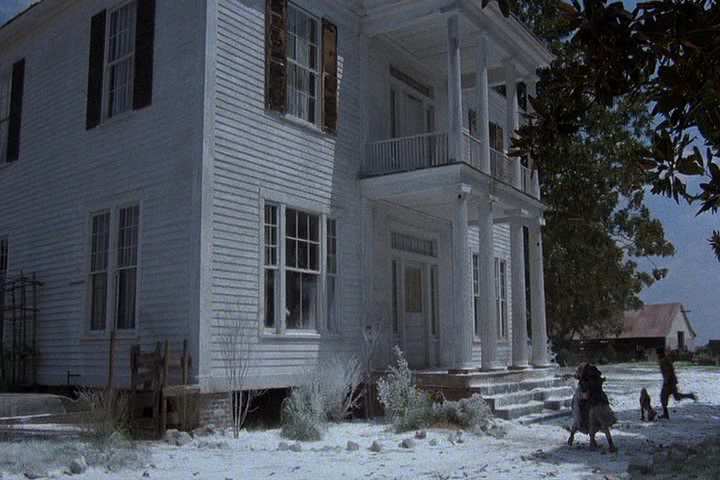 The Color Purple House Old House Dreams