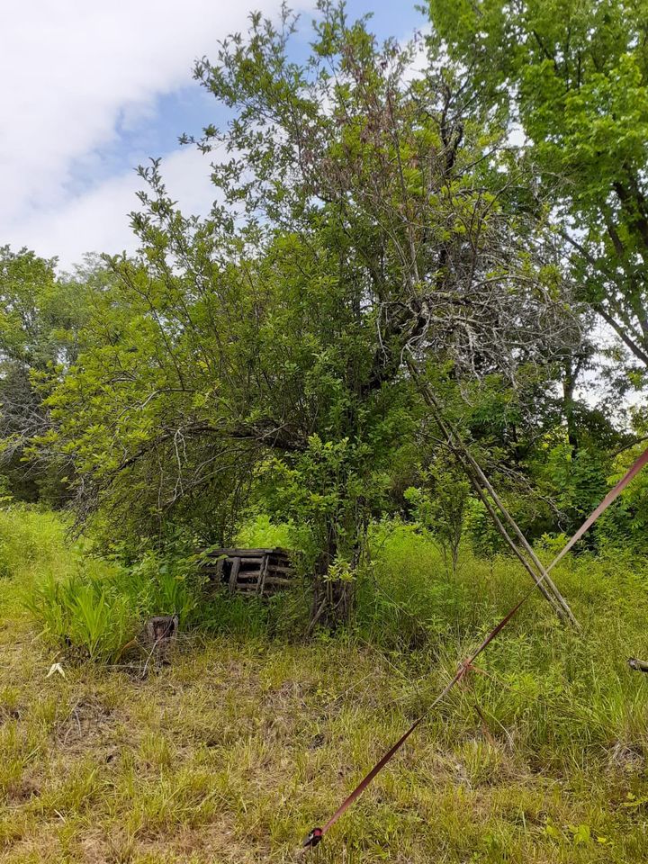 Sold FSBO Missouri PreCivil War Fixer Upper Log Cabin For Sale on 2.