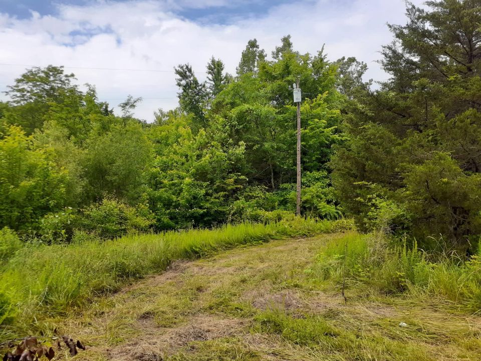 Sold FSBO Missouri PreCivil War Fixer Upper Log Cabin For Sale on 2.