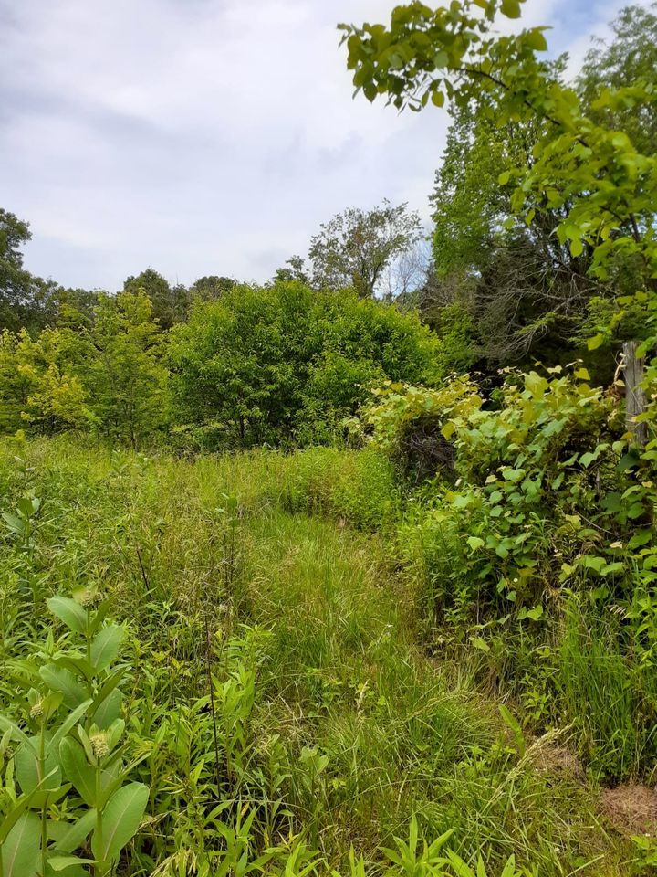 Sold FSBO Missouri PreCivil War Fixer Upper Log Cabin For Sale on 2.