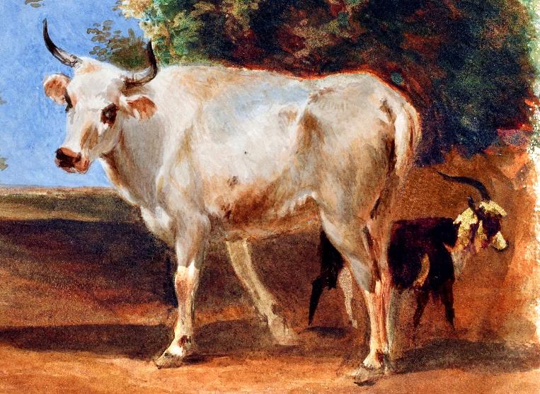 What is The Old Irish Goat? The Old Irish Goat