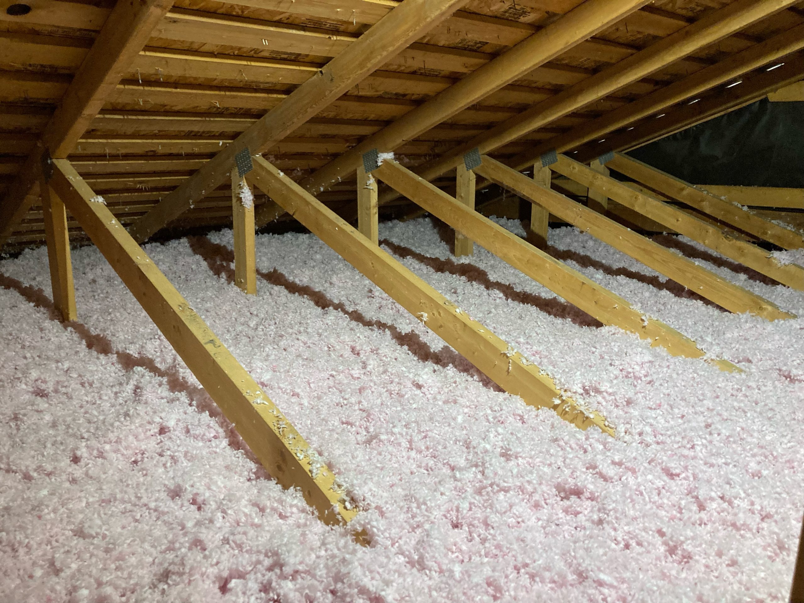 Rodent Remediation Rodent Droppings Clean Up Service