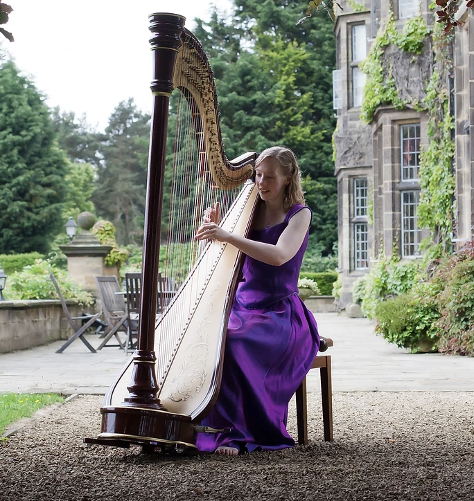 Concert Harpist Old Low Light