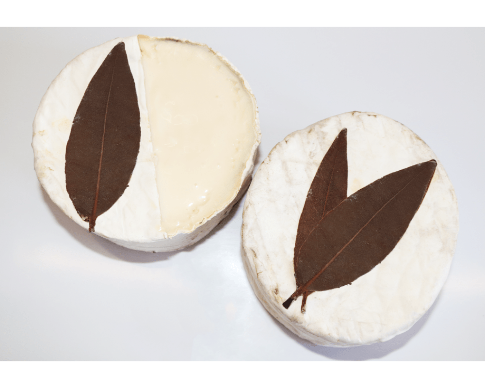 Buy Point Reyes Quinta Online Old Major Market