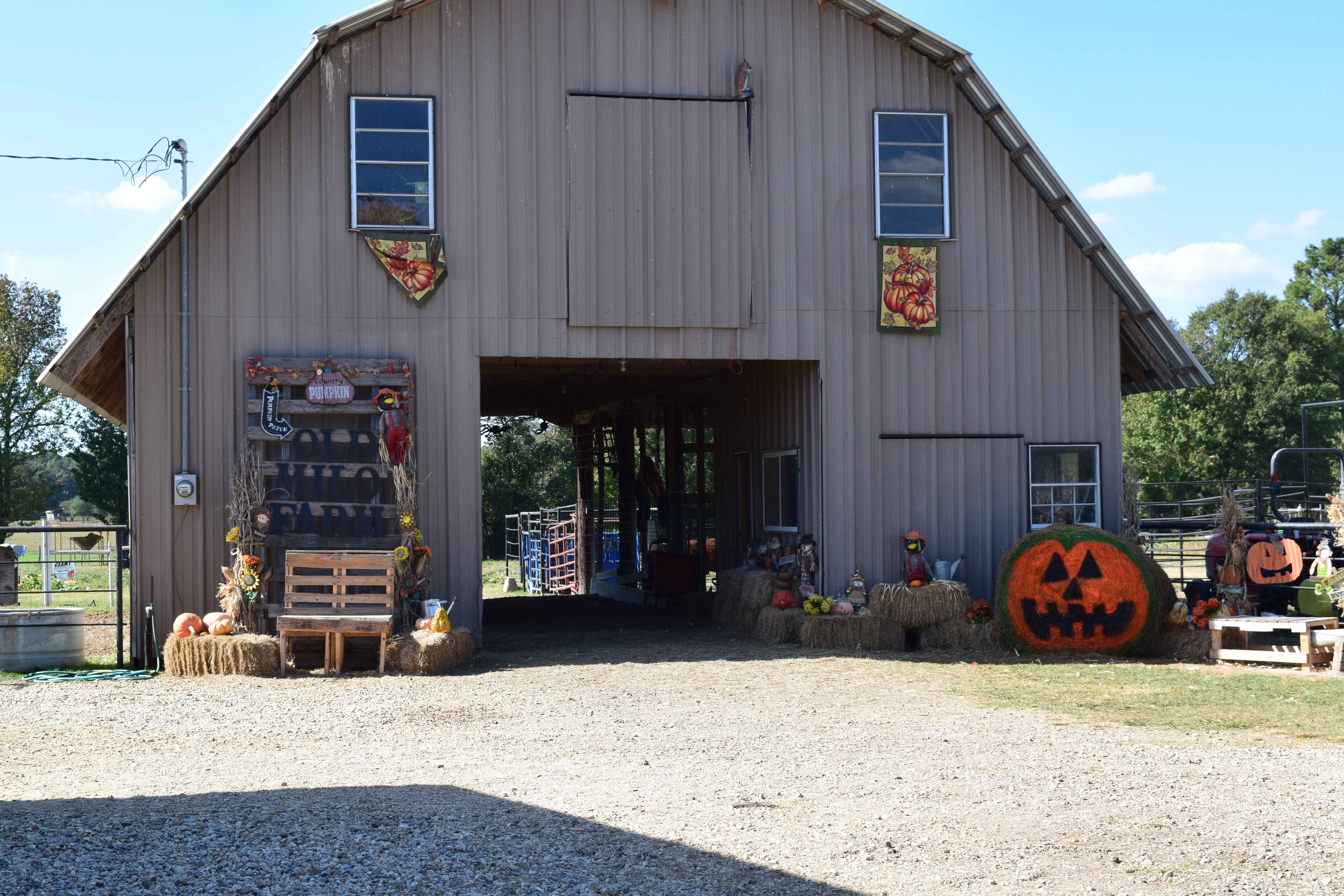 Old Milo Tree Farms & Pumpkin Patch Our farm is our home & guests are