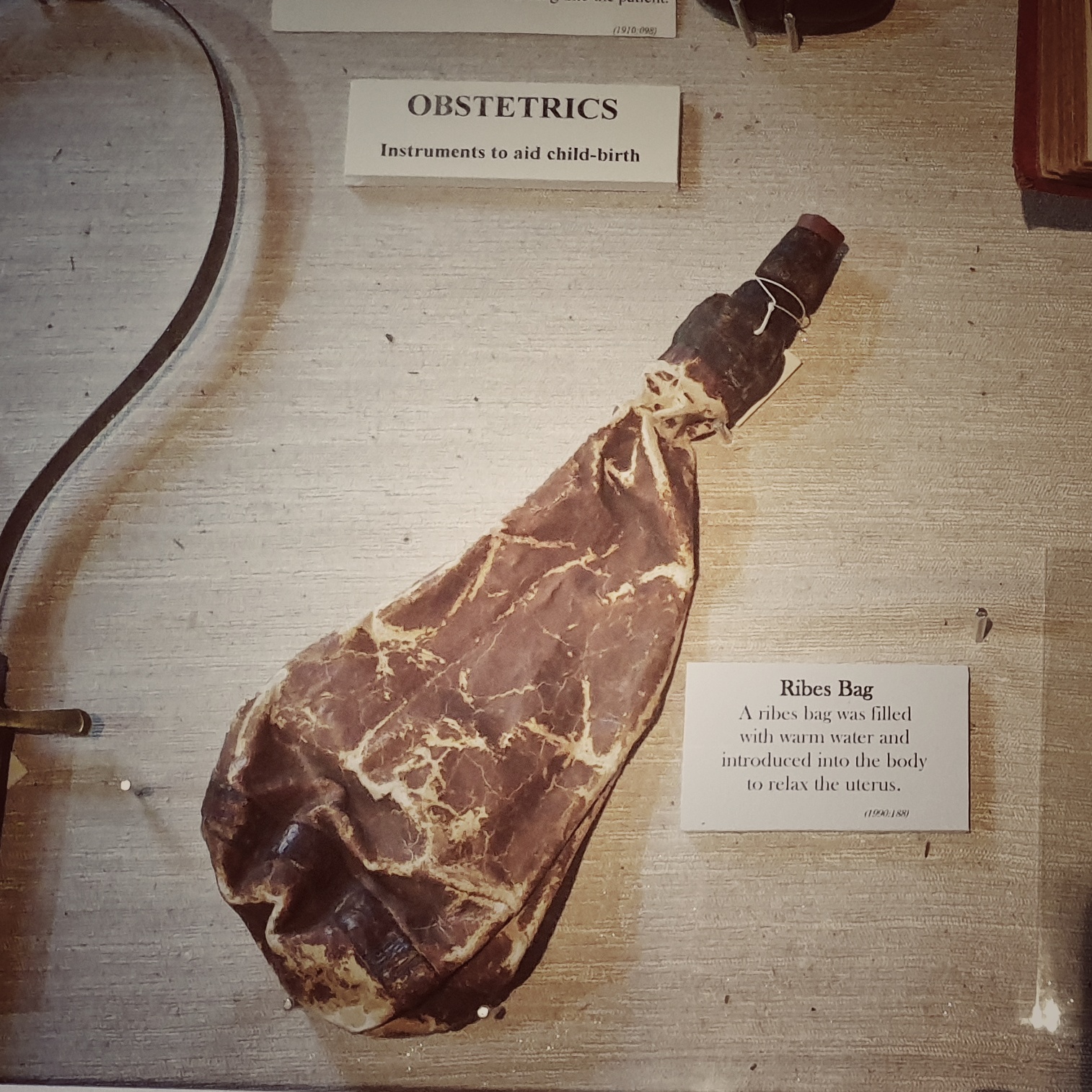 The Champetier de Ribes Bag The Old Operating Theatre Museum