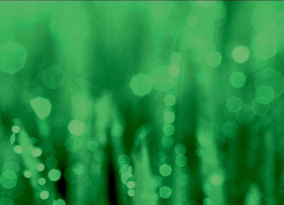 Old Sod Landscaping Hyannis MA