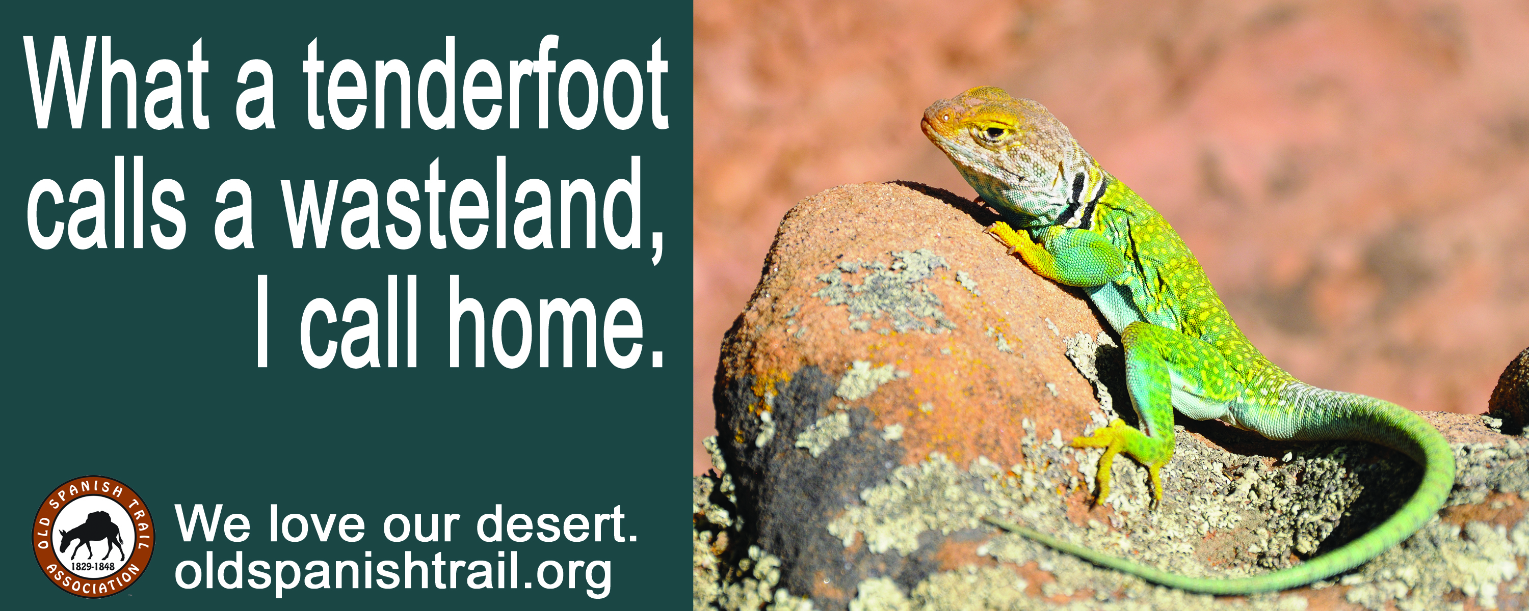 lizard Old Spanish Trail Association