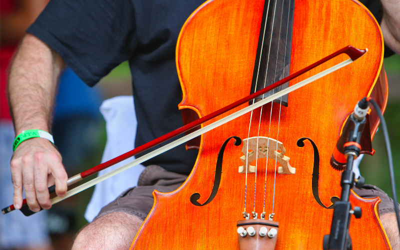 Tips For Buying A Cello A Complete Guide for Beginners