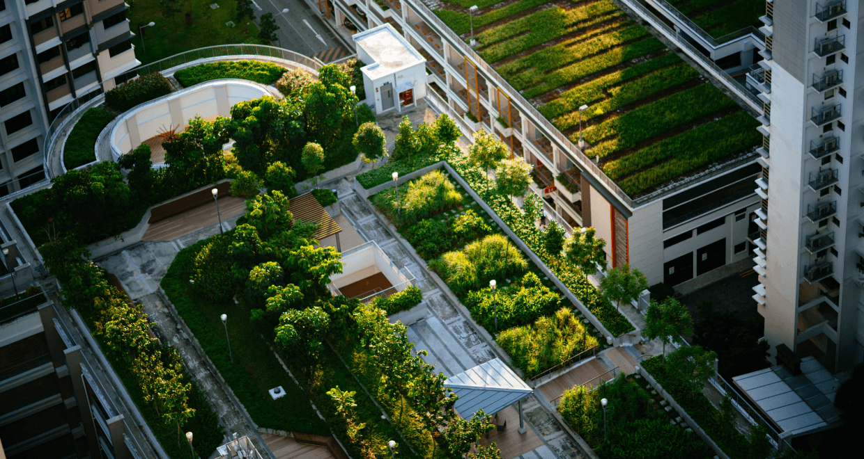 EcoFriendly Roofing Options Old Time Roofing Roofing Contractor