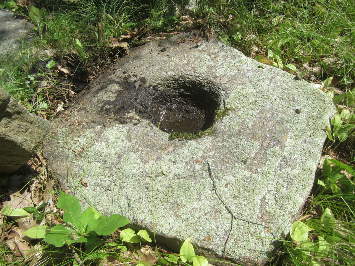 Mortar Stone 5 Old Wood antique flooring, reclaimed wood