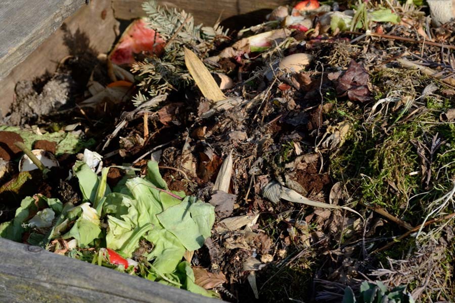 How To Create A Great Fall Compost Pile For Next Year's Garden!