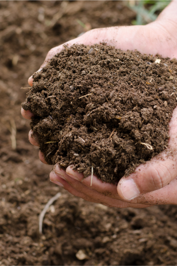 How To Rejuvenate Raised Bed Soil 3 Simple Methods To Power Plants!