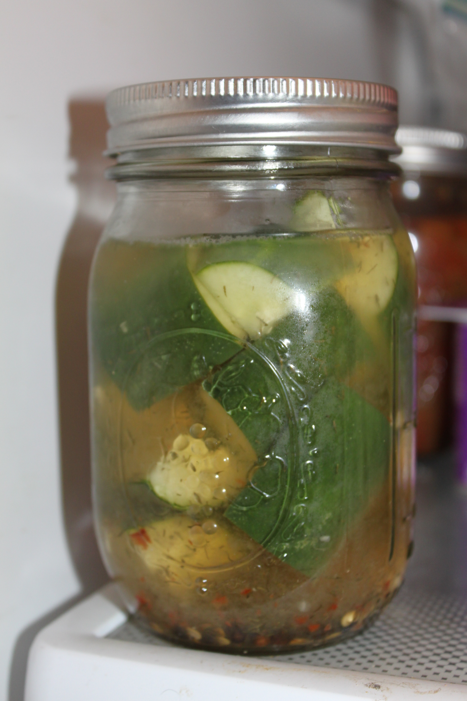 Garlic Dill Pickle Canning Recipe Old World Garden Farms