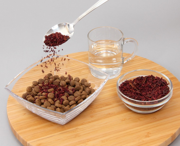 The Most Effective Way to Feed Red Beets to Dogs Olewo