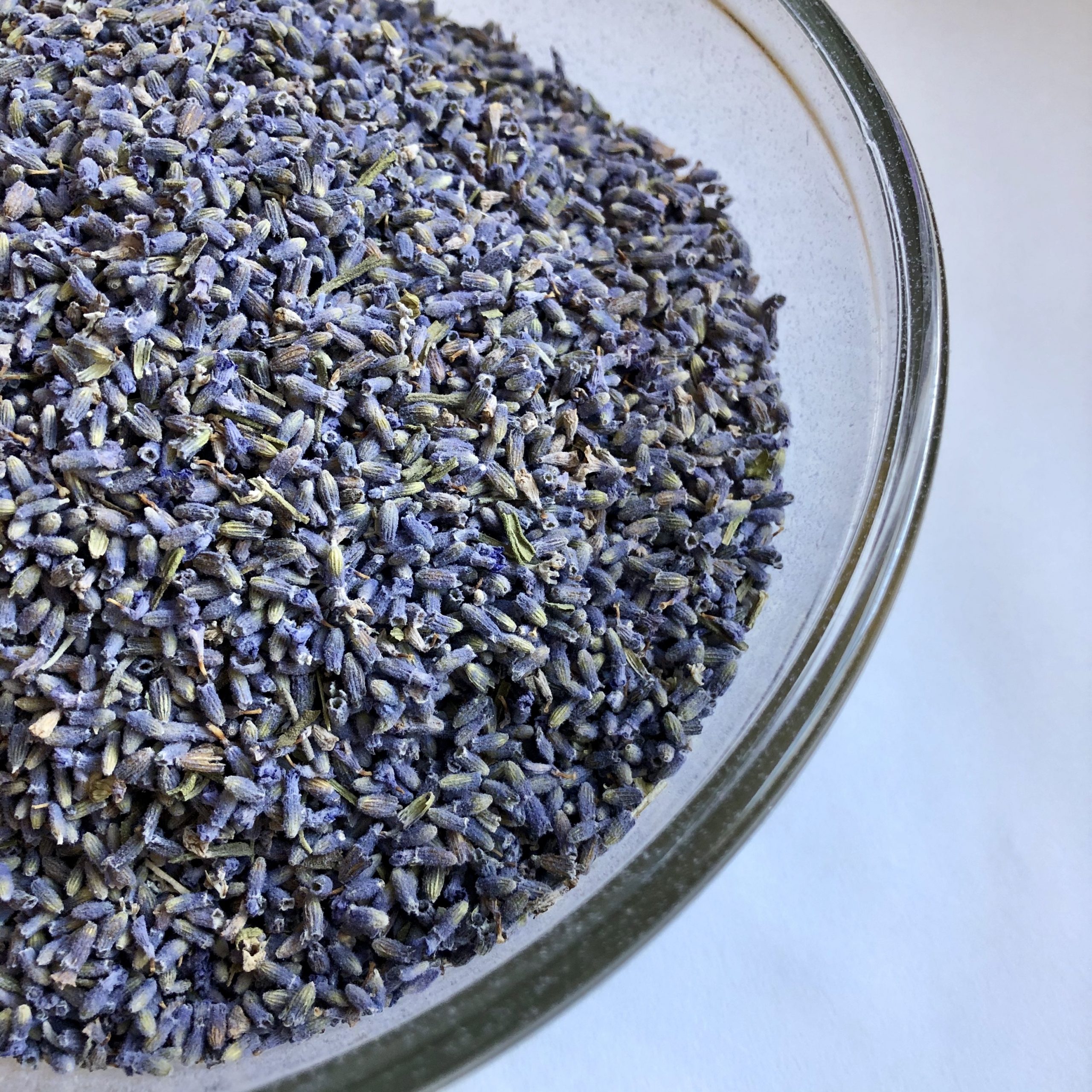 Culinary Lavender Buds Wayward Winds Lavender