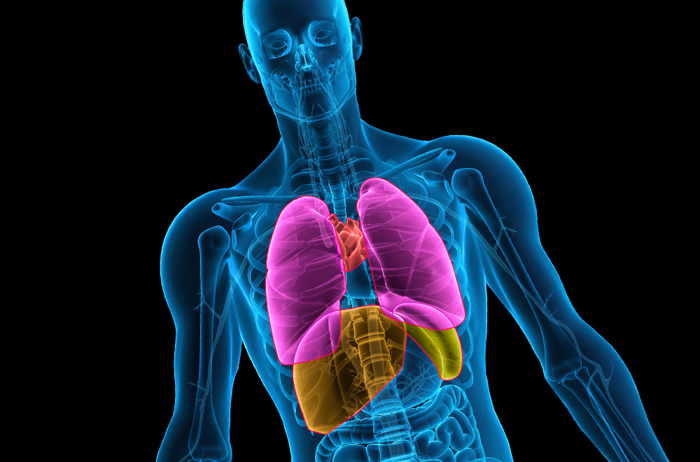 What Is Causing My Chest Pain After A Car Accident? The Olinde Firm New Orleans Attorneys