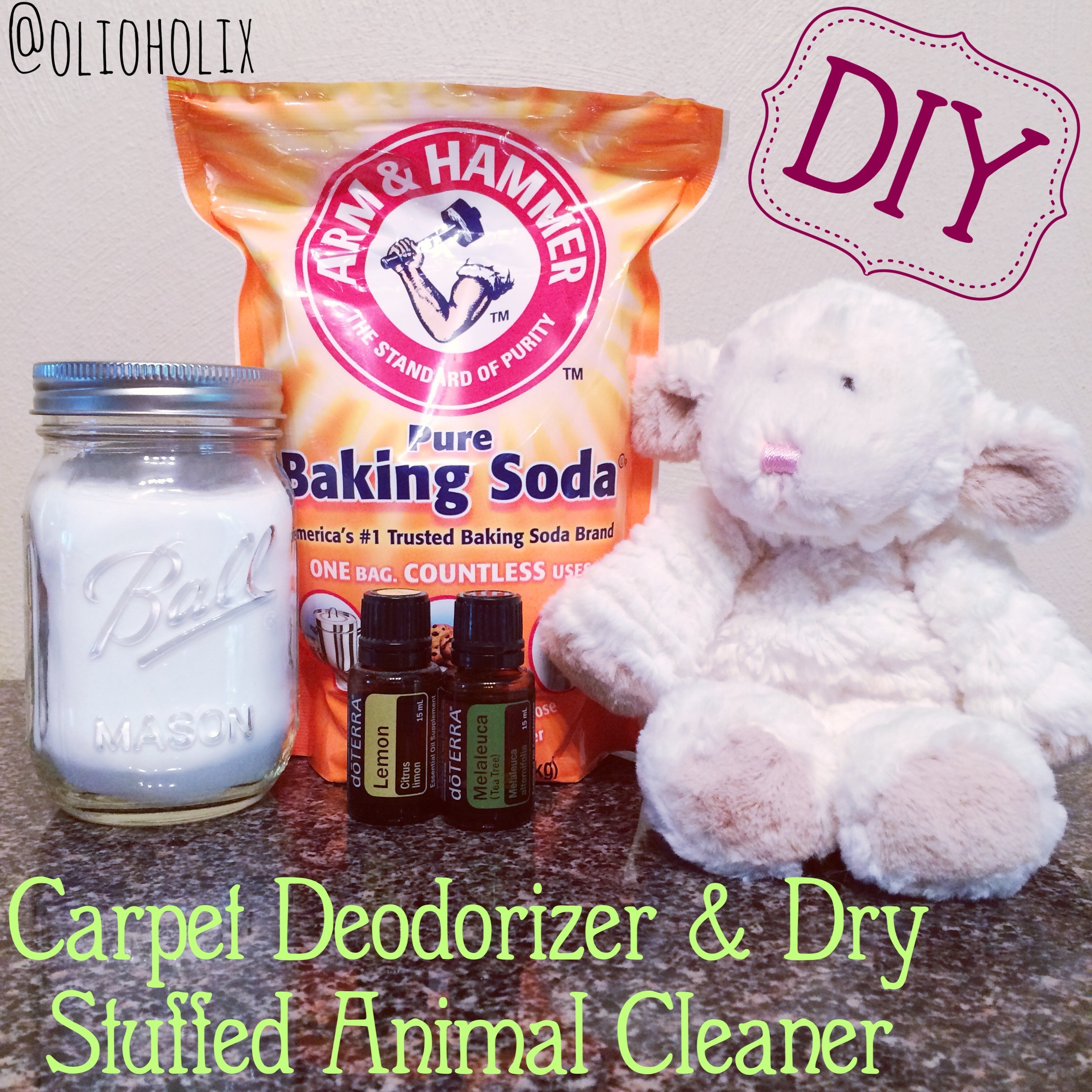 DIY Carpet Deoderizer & Dry Stuffed Animal Cleaner Olioholix
