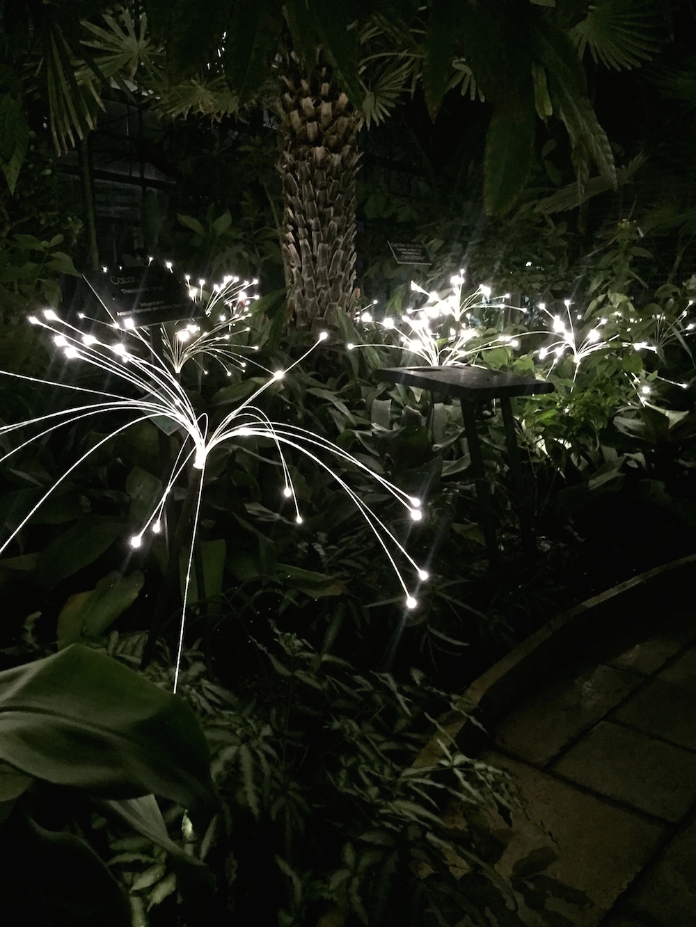 Artist Bruce Monro Lights up Nicholas Conservatory & Gardens