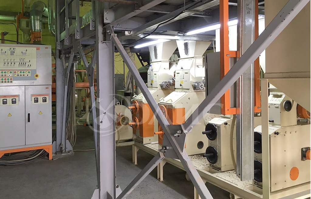 Kazakhstan a buckwheat processing plant started its operation in Petropavlovsk news by the