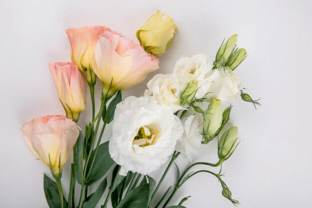 How Long Do Flowers Last Without Water? Tips to Extend Their Lifespan
