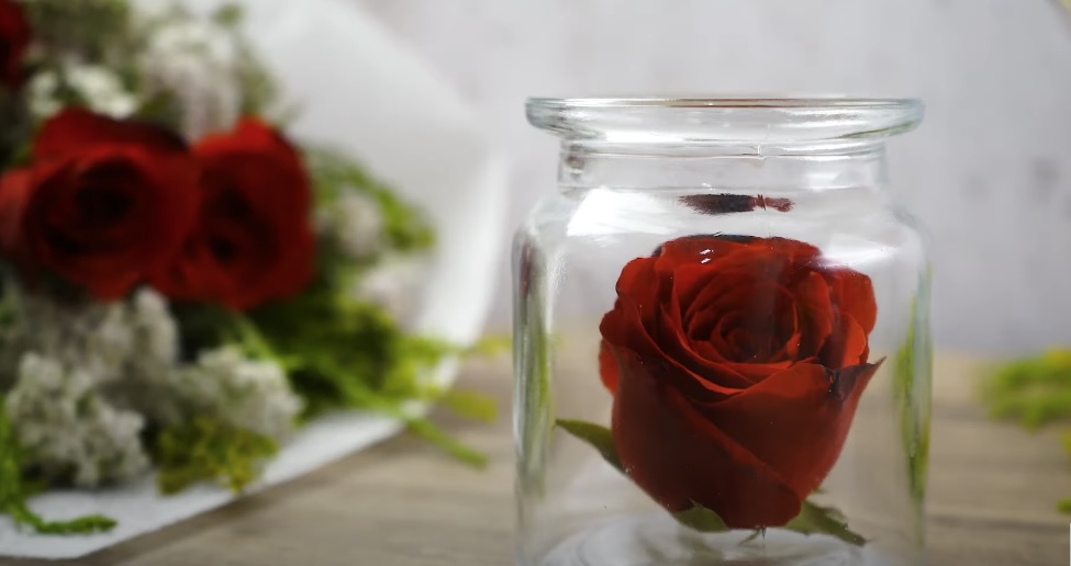How to Preserve Roses in a Jar Preservation Made Easy