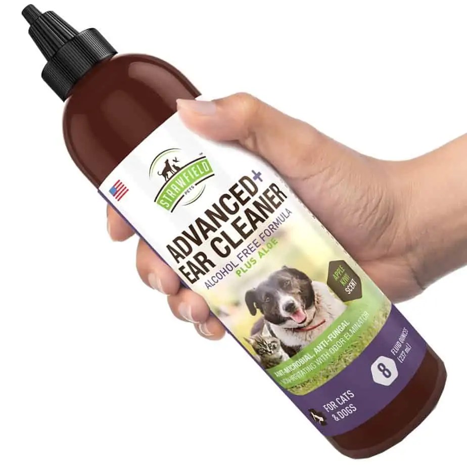 Best Cat Ear Cleaner [Updated for 2022] OliveKnows