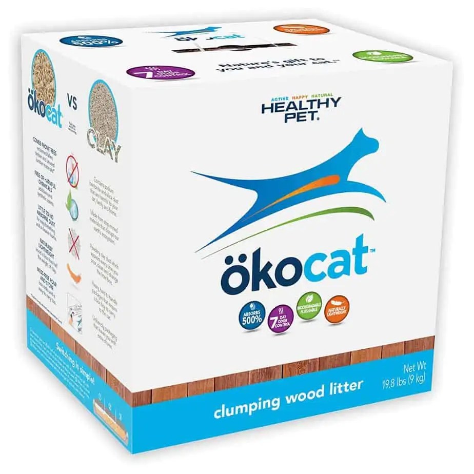 Is Your Cat Allergic to Its Litter? OliveKnows