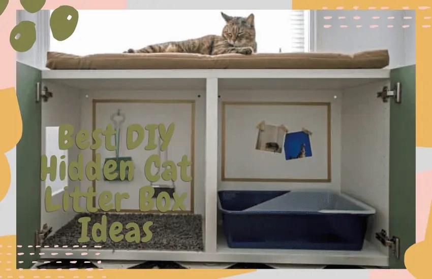 Best DIY Hidden Cat Litter Box Ideas You Need to Know Of OliveKnows