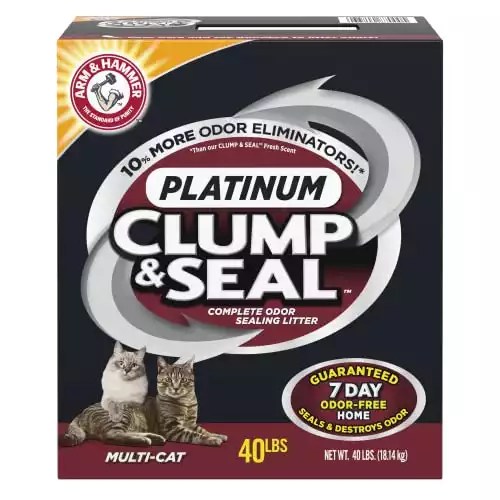 The Best Cat Litter That Doesn't Track To Consider in 2022 OliveKnows