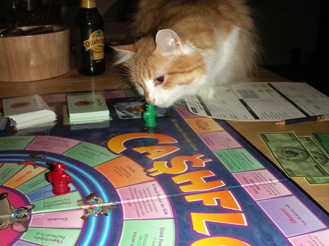 Cashflow Cat 101 Oliver Drobnik