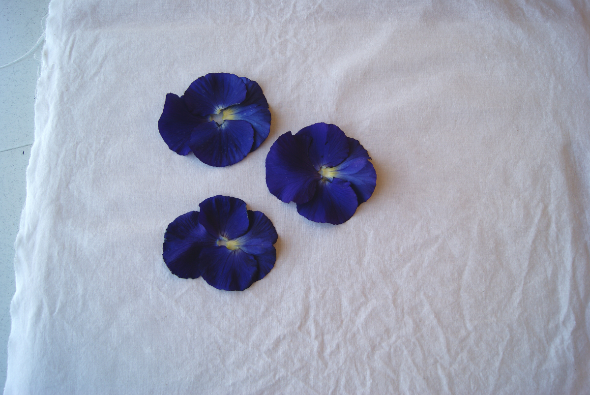 Flower Pounding Technique Blog Oliver + S