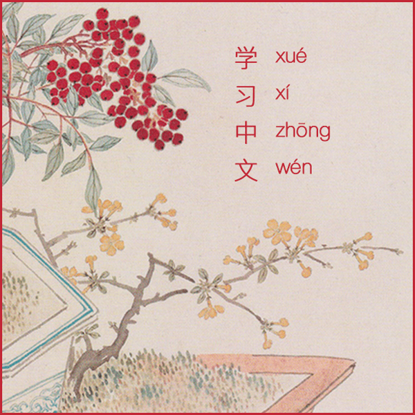 Group Mandarin Chinese Course for Beginners — Olive's Choice Creative