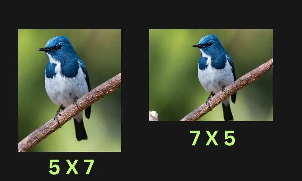 How Big is a 5×7 Photo? Understanding Dimensions in Various Units