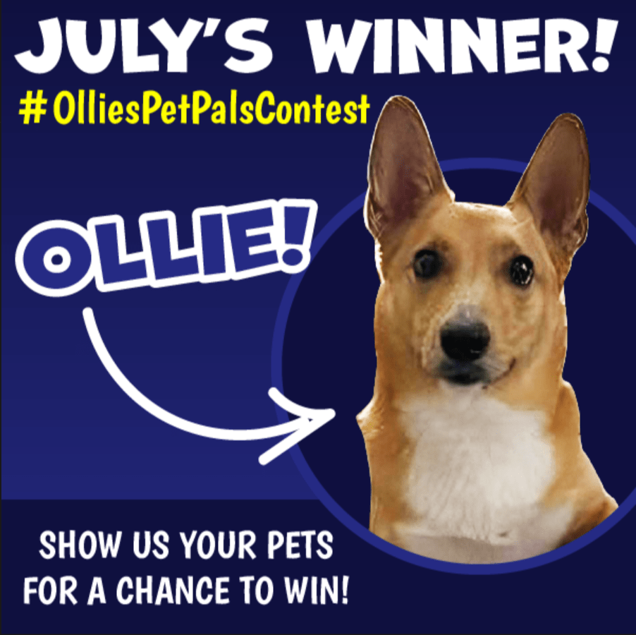 Current OlliesPetPalsContest Winner!! Customer Home Page