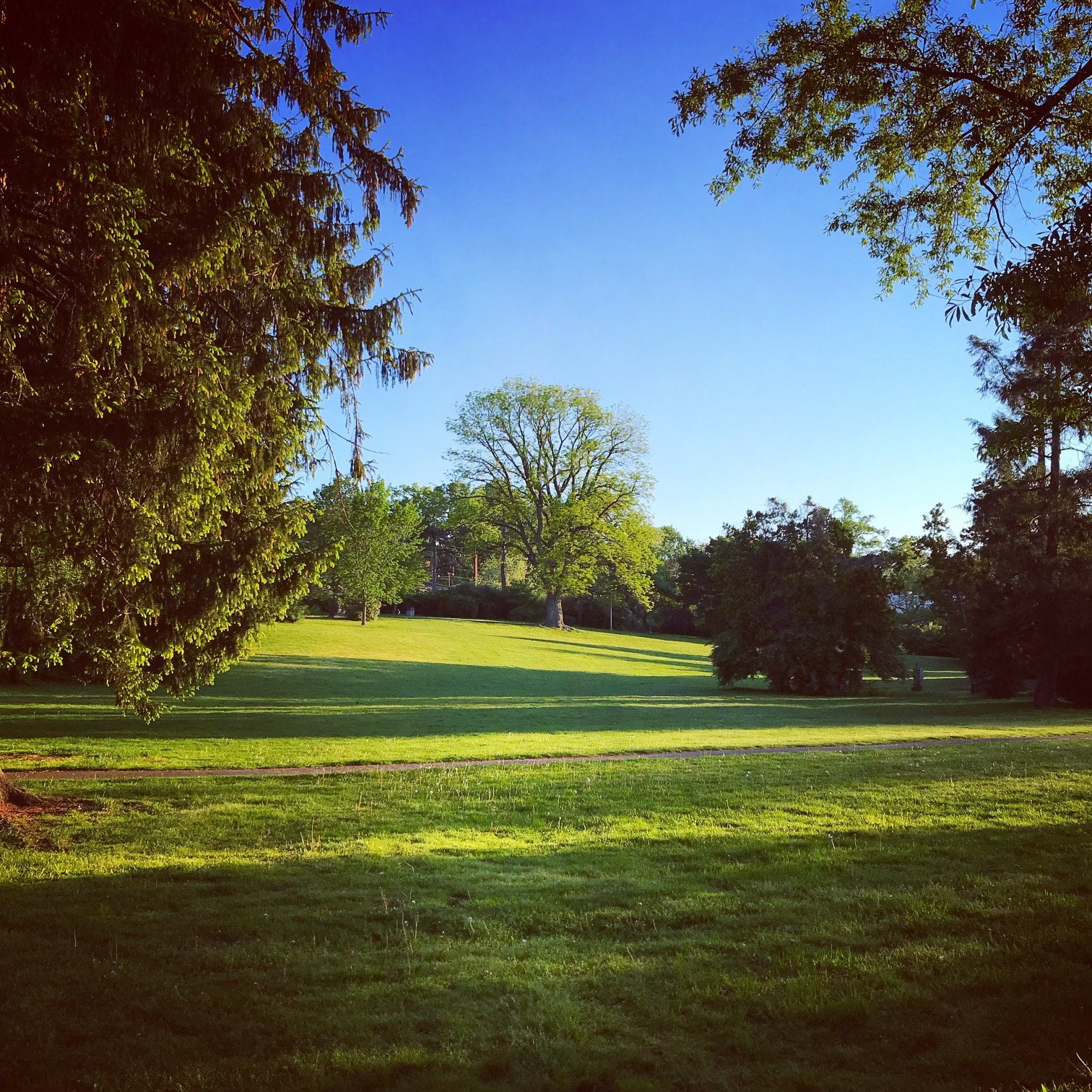 Maplewood Memorial Park Conservancy Olmsted Network