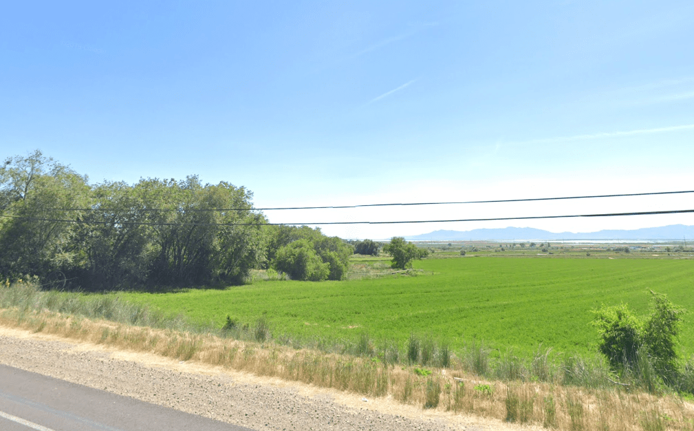 Deer Run OLO Builders