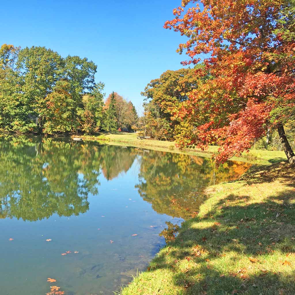 10064 Echo Hill Dr, Brecksville, OH 44141 Olsen Ziegler Realty