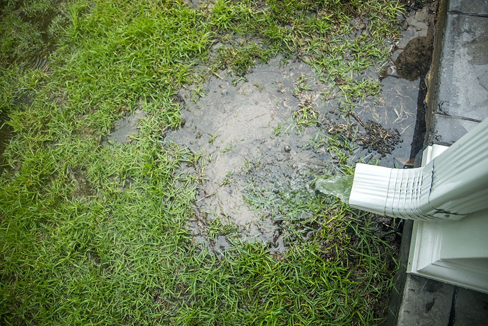 Signs Your Home Needs a Kansas City Drainage Solution