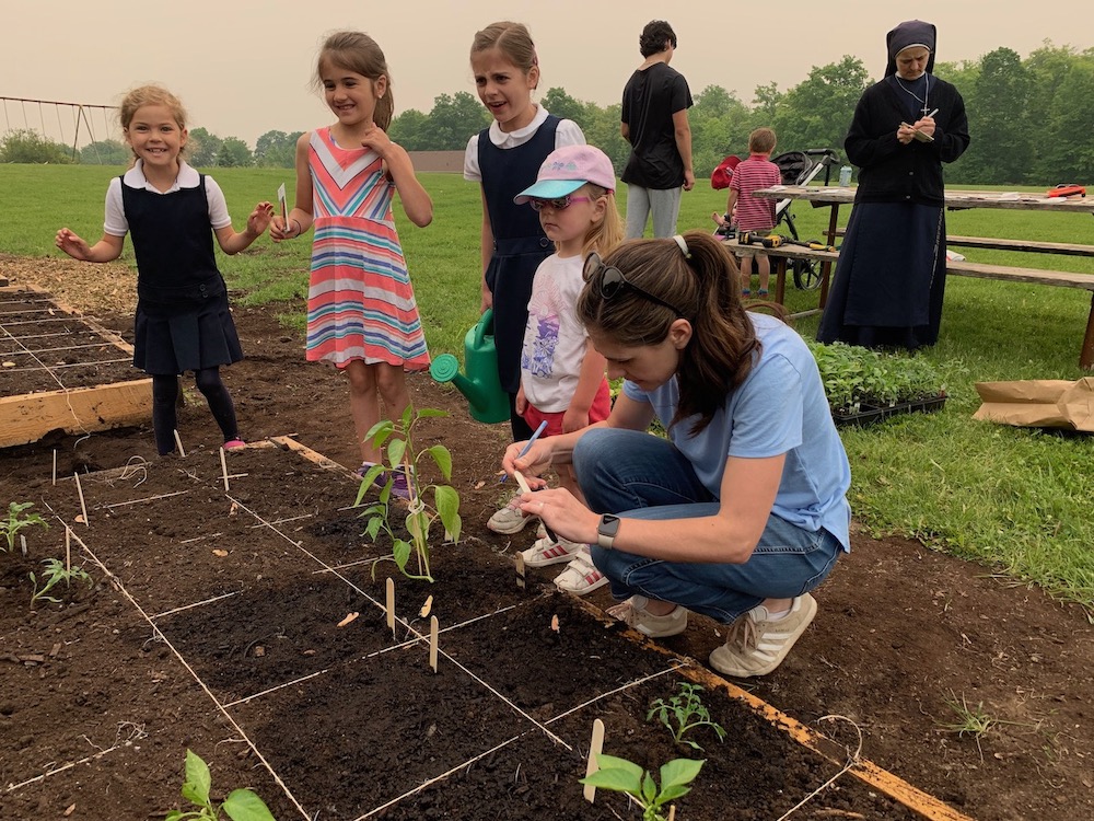 Wayside garden takes shape Our Lady of the Wayside