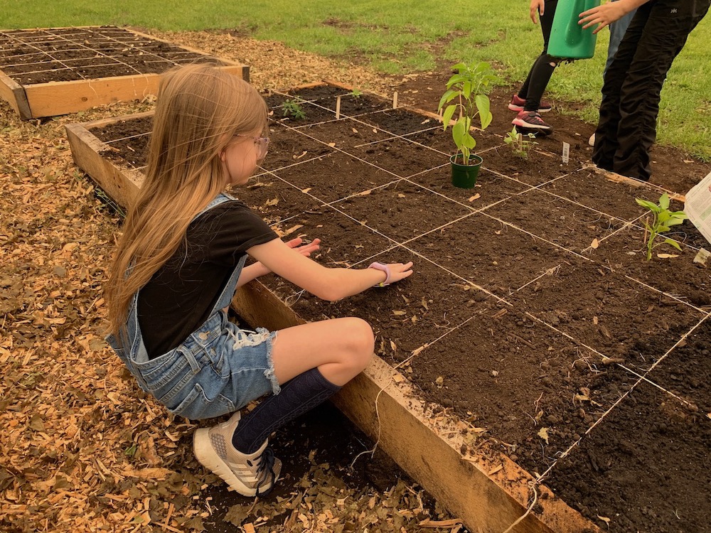 Wayside garden takes shape Our Lady of the Wayside
