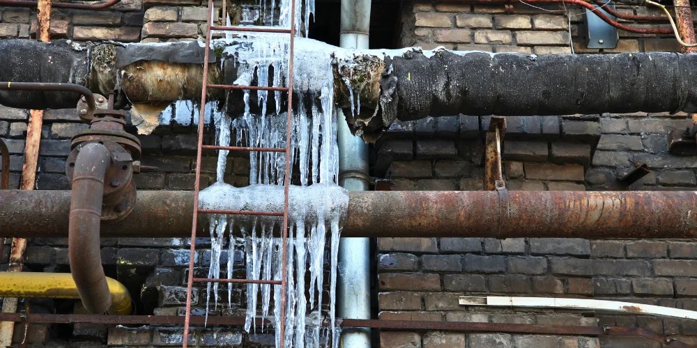 The Connection between New York's Lead Testing Requirements and Public