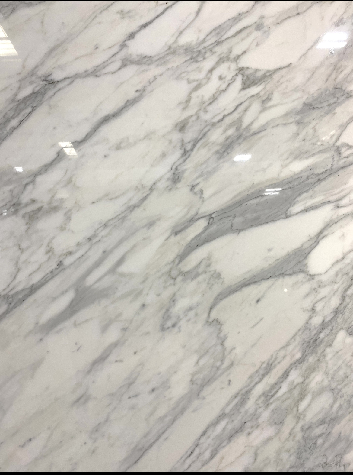 Calacatta Olympia Stone & Quartz