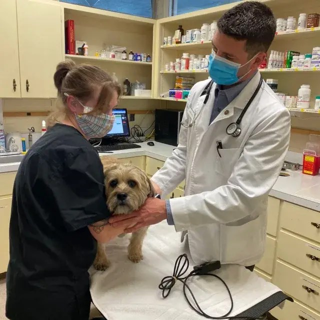 Hospital Tour Olympia Veterinary Hospital