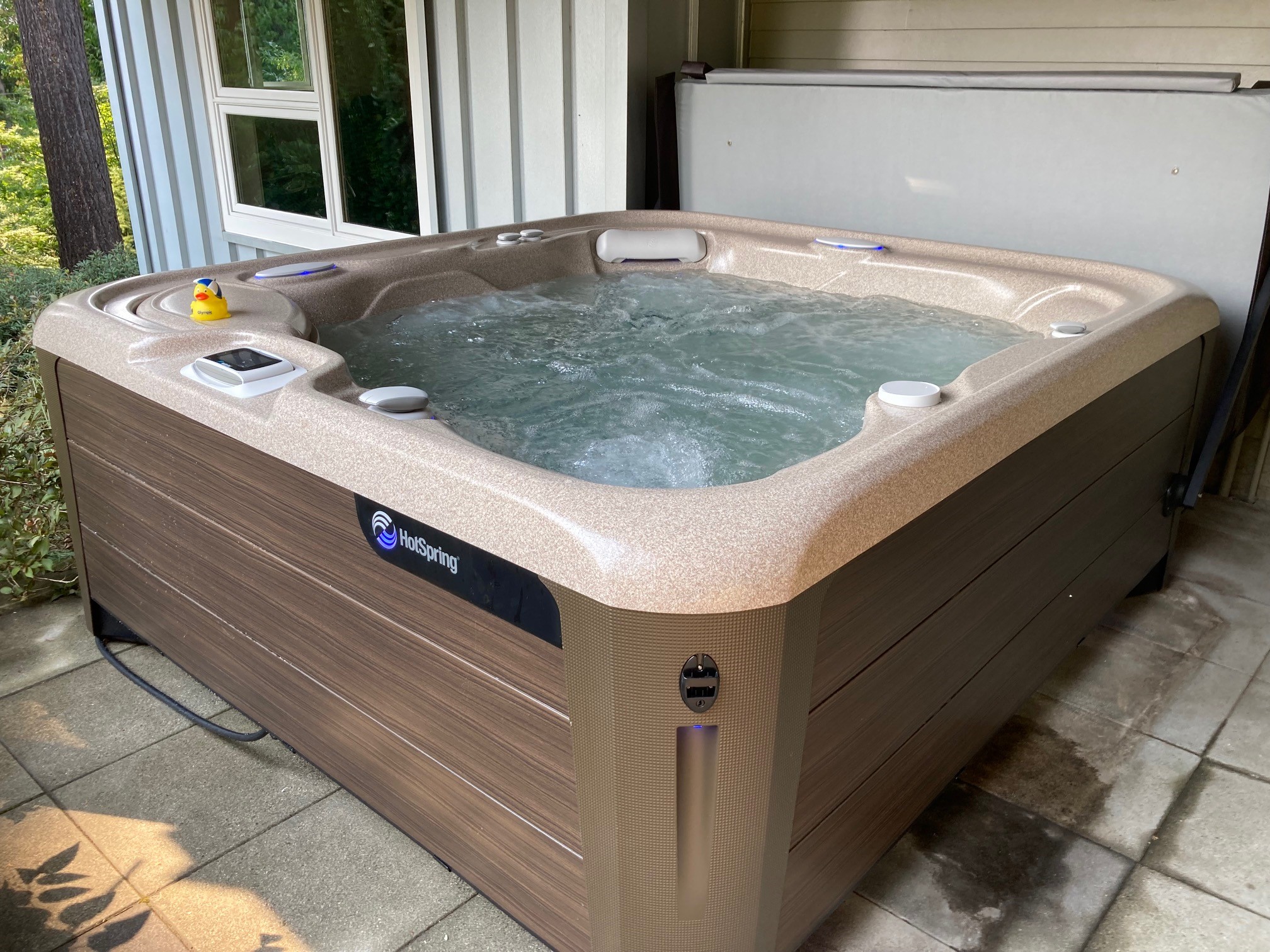 Hot Spring Prodigy Bellevue, WA Olympic Hot Tub