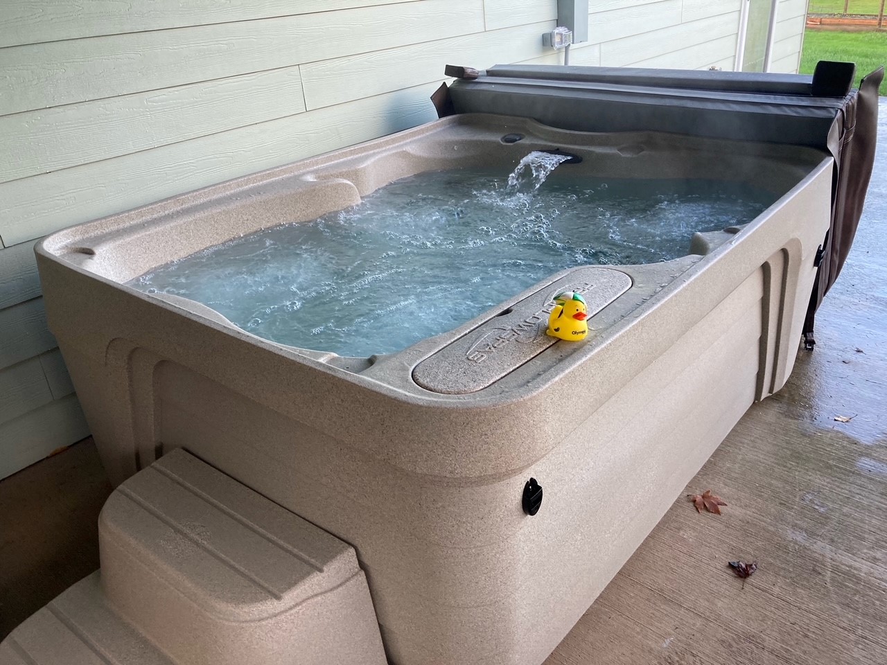 Freeflow Azure Chehalis, WA Olympic Hot Tub