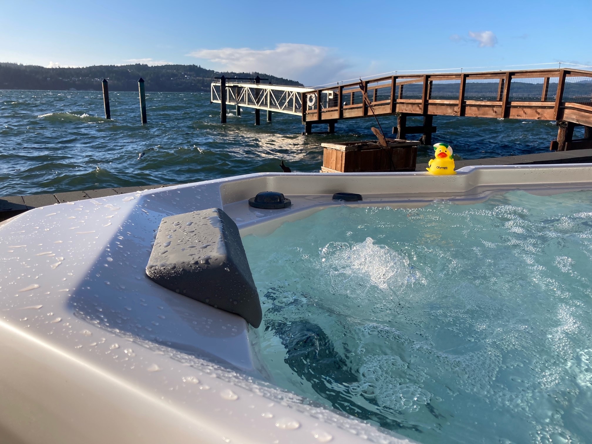 Hot Spring TX Tahuya, WA Olympic Hot Tub