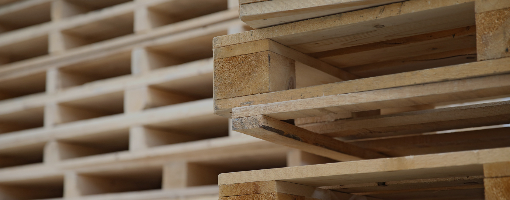 Olympic Pallets Olympic Pallets