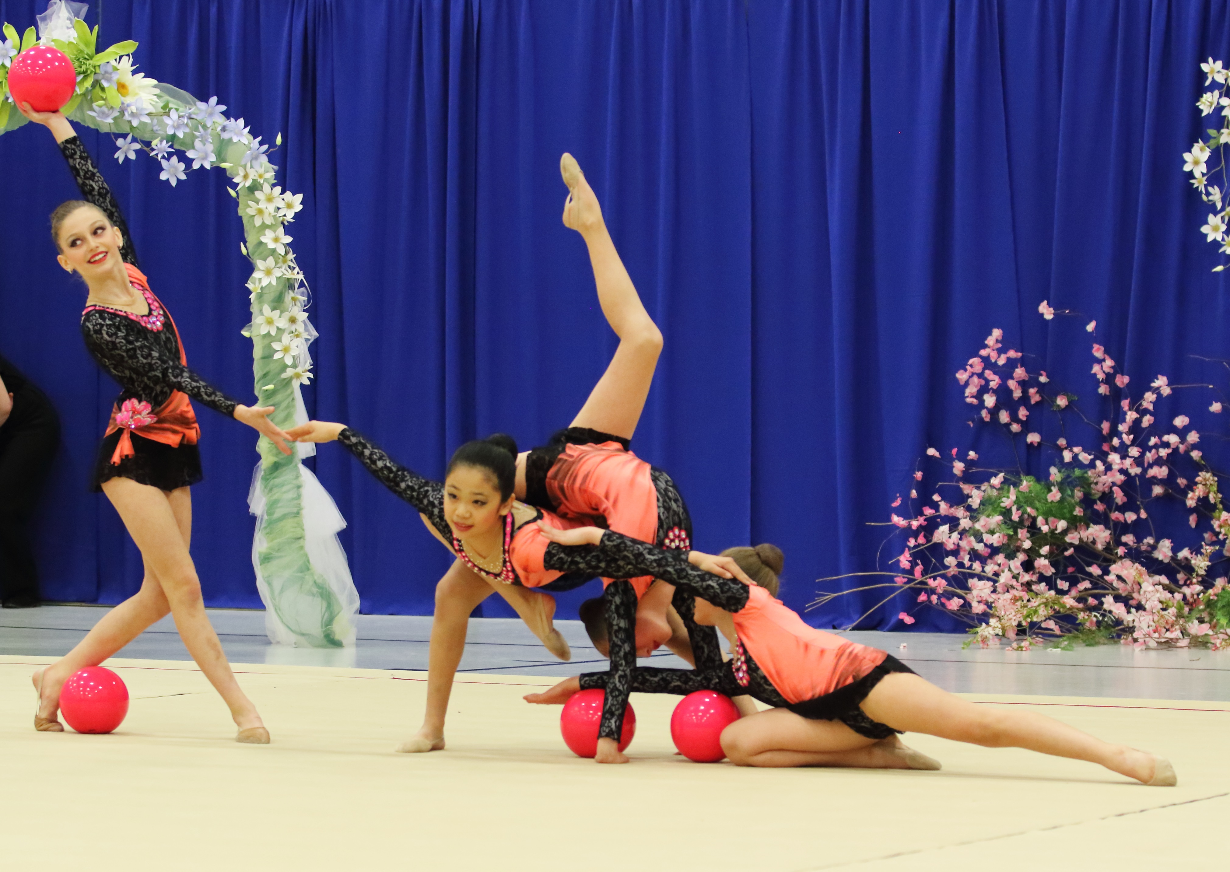 to Olympium Rhythmic Gymnastics Club, Toronto, Canada! » 2016