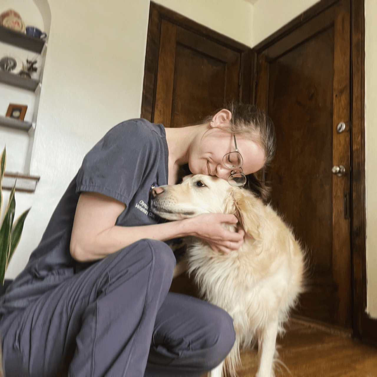 Olympus Cove Veterinary Clinic